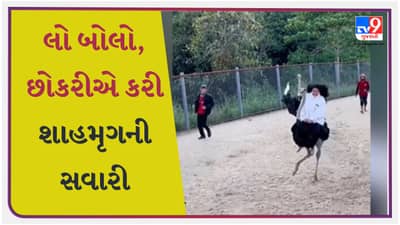 Funny Viral Video : છોકરીએ શાહમૃગની કરી સવારી, પછી પક્ષી એવી રીતે ભાગ્યું કે બહેનની હાલત થઈ ખરાબ