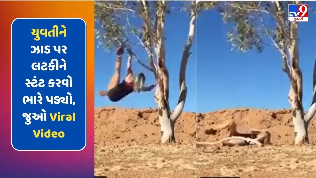 યુવતીને ઝાડ પર લટકીને સ્ટંટ કરવો ભારે પડ્યો, ડાળી તૂટતા પડી નીચે, જુઓ આ Funny Viral Video