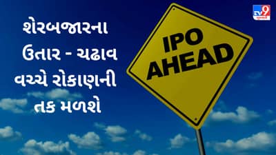 Global Surfaces IPO: શેરબજારના ઉતાર - ચઢાવ વચ્ચે આ કંપની રોકાણની તક લાવશે, જાણો યોજના વિશે અહેવાલમાં