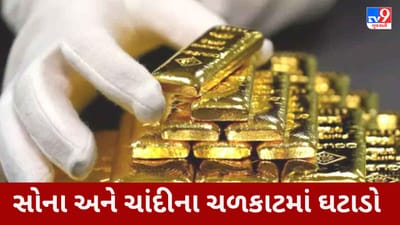 Gold Price Today : સોના -ચાંદીના ચળકાટમાં ઘટાડો થયો,જાણો આજે કેટલું સસ્તું થયું સોનું