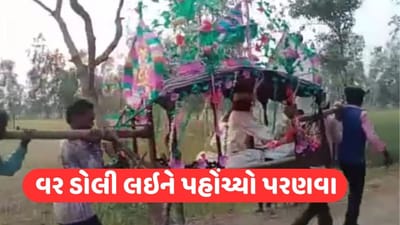 Viral Video: ઘોડી પર નહીં પણ ડોલીમાં લગ્ન કરવા પહોંચ્યો વરરાજા, તમે પણ જોવો આ ખાસ એન્ટ્રીનો વીડિયો
