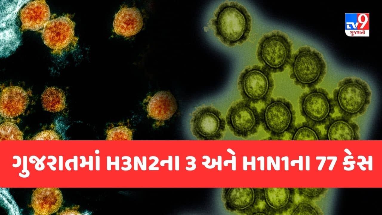 Gujarati Video : ગુજરાતમાં H3N2ના 3 અને H1N1ના 77 કેસ મળ્યા