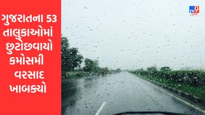 Gujarati Video : રાજ્યના 53 તાલુકાઓમાં છુટોછવાયો કમોસમી વરસાદ, ભુજમાં 2 ઈંચ અને પાટણમાં 3 ઇંચ વરસાદ ખાબક્યો