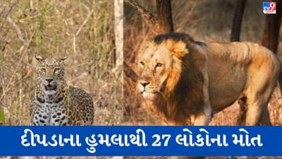 Gandhinagar: સરકારે વિધાનસભામાં સ્વીકાર્યું કે 2 વર્ષમાં દીપડાના હુમલામાં 27 માનવ મૃત્યુ, સિંહના હુમલામાં 7 માનવ મૃત્યુ થયા