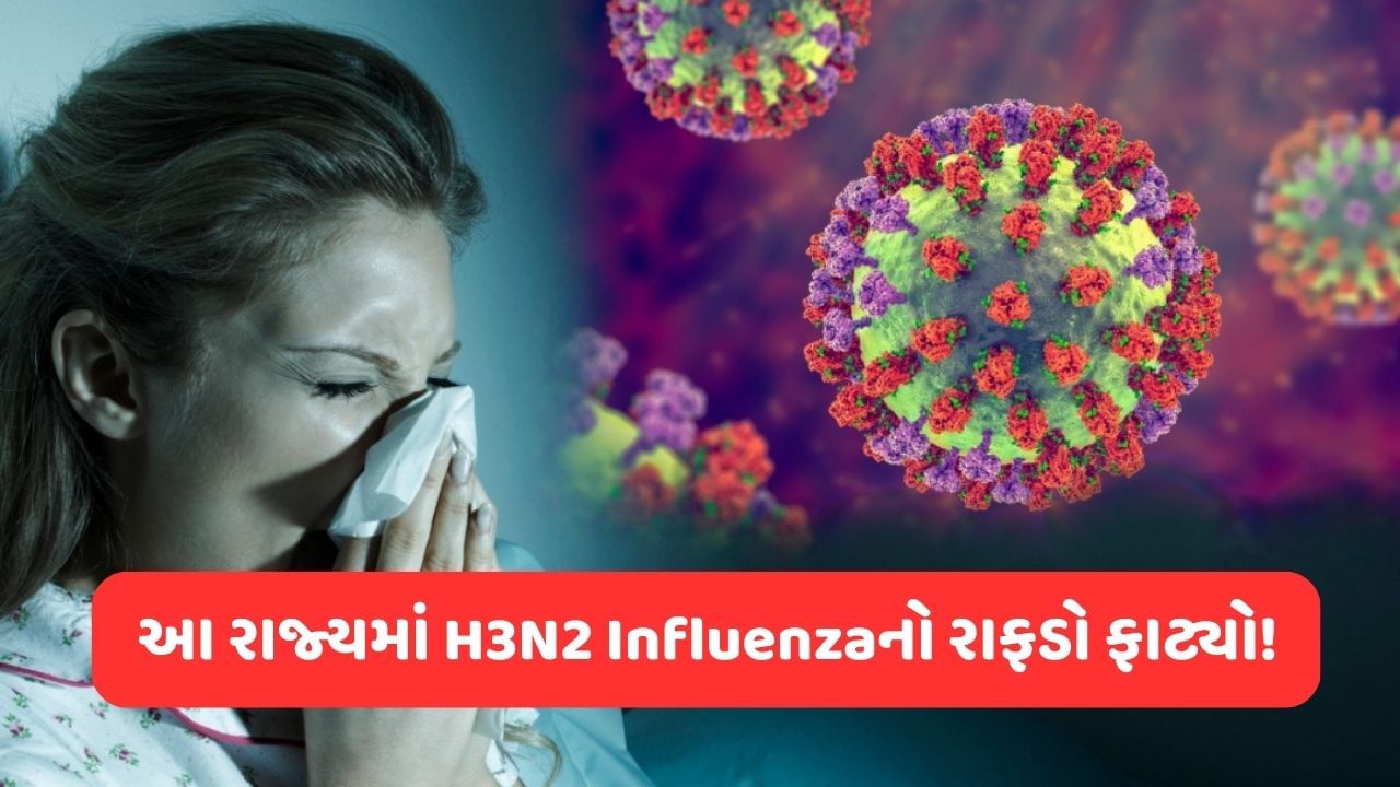 H3N2 Case: દેશના આ રાજ્યમાં ઝડપથી વધી રહ્યા છે Influenzaના કેસ, માત્ર 2 મહિનામાં નોંધાયા આટલા કેસ !
