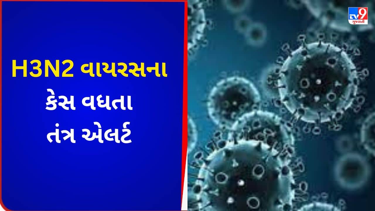 Bhavnagar માં H3N2 વાયરસના કેસ વધતા આરોગ્ય તંત્ર એલર્ટ, જુઓ VIDEO