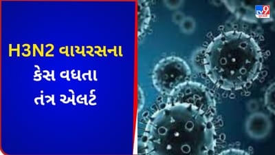 Bhavnagar માં  H3N2 વાયરસના કેસ વધતા આરોગ્ય તંત્ર એલર્ટ, જુઓ VIDEO