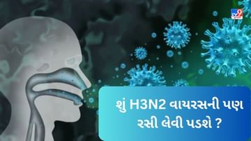 કોરોનાની જેમ જ H3N2 વાયરસનો સામનો કરવામાં આવશે, ઈન્ડિયા બાયોટેક બનાવી રહી છે રસી