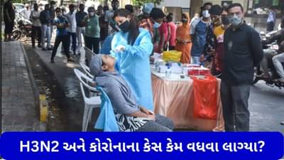 H3N2 વાયરસ અને કોરોનાના કેસ અચાનક કેમ વધવા લાગ્યા? નિષ્ણાતો પાસેથી જાણો જવાબ