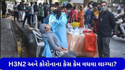 H3N2 વાયરસ અને કોરોનાના કેસ અચાનક કેમ વધવા લાગ્યા? નિષ્ણાતો પાસેથી જાણો જવાબ