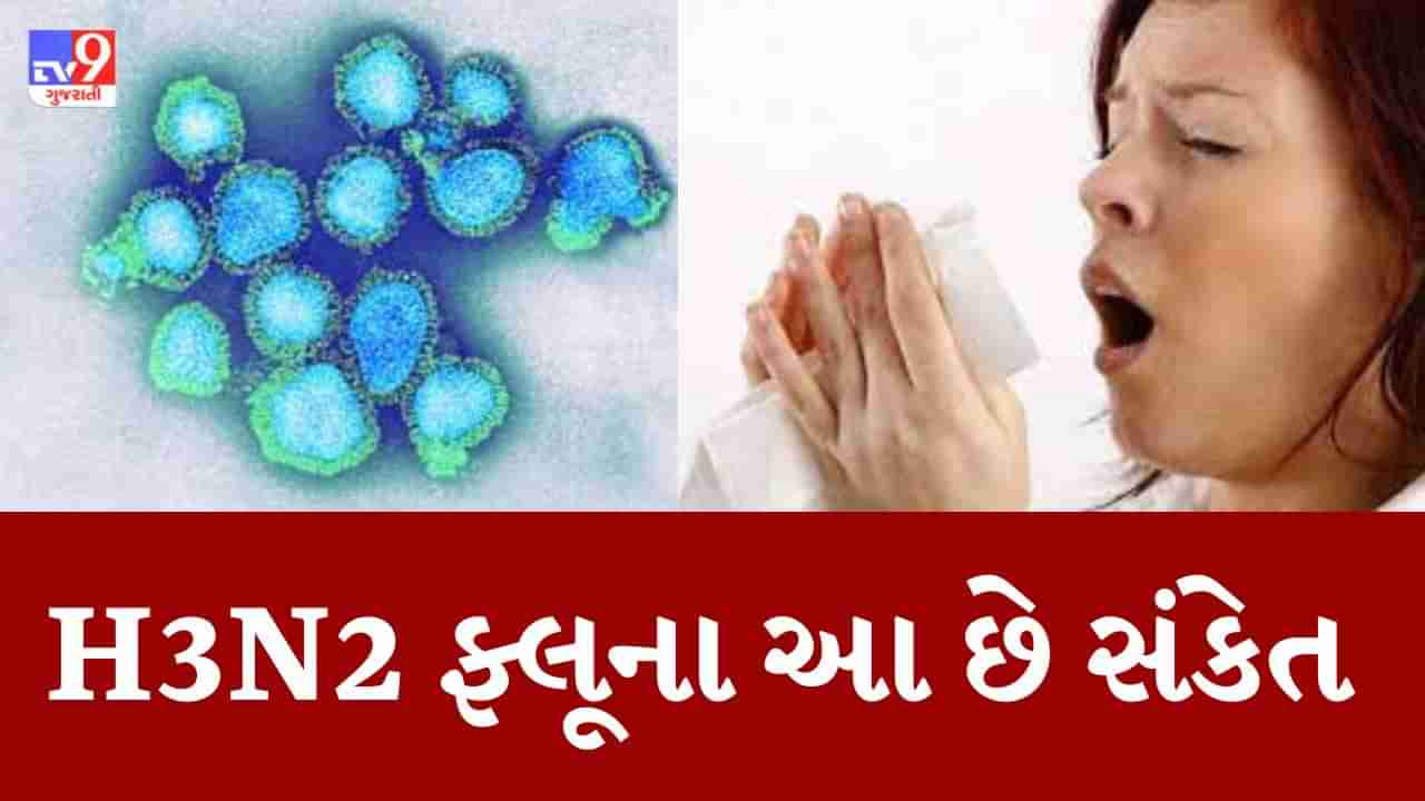 H3N2 Virus : ગુજરાત સહિત ભારતમાં H3N2 વાયરસથી અત્યાર સુધીમાં ત્રણના મોત, જાણો શું છે આ ખતરનાક વાયરસના લક્ષણો