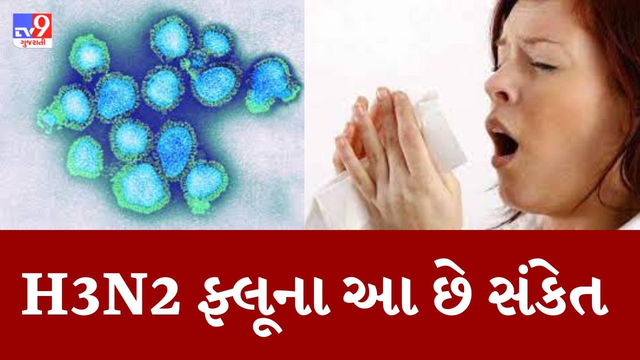 H3N2 Virus : ગુજરાત સહિત ભારતમાં H3N2 વાયરસથી અત્યાર સુધીમાં ત્રણના મોત, જાણો શું છે આ ખતરનાક વાયરસના લક્ષણો