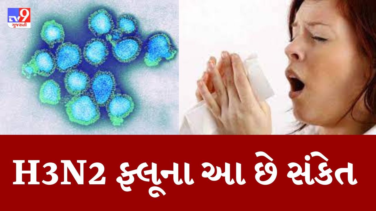 Ahmedabad: અનિવાર્યતા જણાશે તો H3N2ના દર્દીઓનું જીનોમ સિકવન્સિંગ કરાશે, ફ્લૂના લક્ષણો પારખીને કરવામાં આવે છે સારવાર