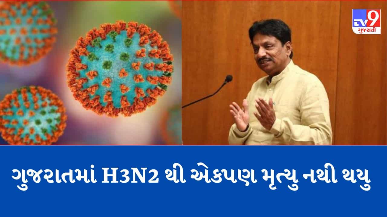 Gujarati Video: રાજ્યમાં H3N2 વાયરસ અંગે આરોગ્ય પ્રધાને આપી જાણકારી, ગુજરાતમાં એકપણ મૃત્યુ H3N2થી નથી થયા