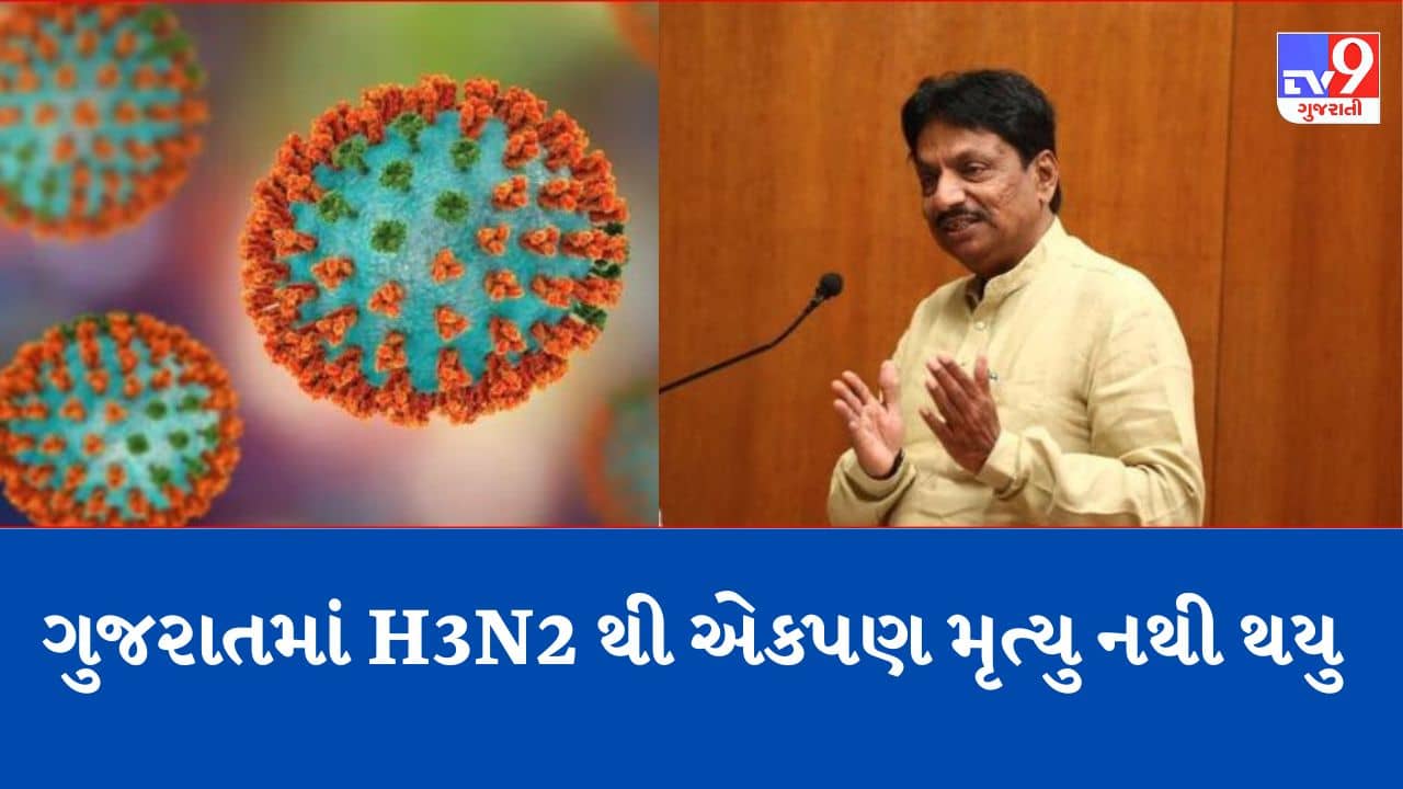 Gujarati Video: રાજ્યમાં H3N2 વાયરસ અંગે આરોગ્ય પ્રધાને આપી જાણકારી, ગુજરાતમાં એકપણ મૃત્યુ H3N2થી નથી થયા