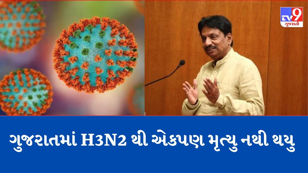 Gujarati Video: રાજ્યમાં H3N2 વાયરસ અંગે આરોગ્ય પ્રધાને આપી જાણકારી, ગુજરાતમાં એકપણ મૃત્યુ H3N2થી નથી થયા Gujarati Video: રાજ્યમાં H3N2 વાયરસ અંગે આરોગ્ય પ્રધાને આપી જાણકારી, ગુજરાતમાં એકપણ મૃત્યુ H3N2થી નથી થયા