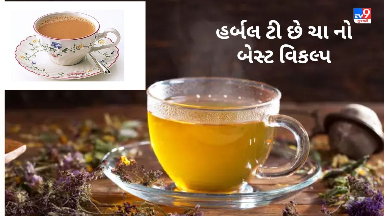 Herbal Tea હર્બલ ટી છે ચા નો બેસ્ટ વિકલ્પ, શરીરને હેલ્ધી રાખવામાં કરે છે મદદ Gujarati News