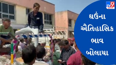 Gujarati Video : કડી માર્કેટ યાર્ડમાં ઘઉંના ઐતિહાસિક ભાવ બોલાયા, ખેડૂતોમાં ખુશાલીનો માહોલ