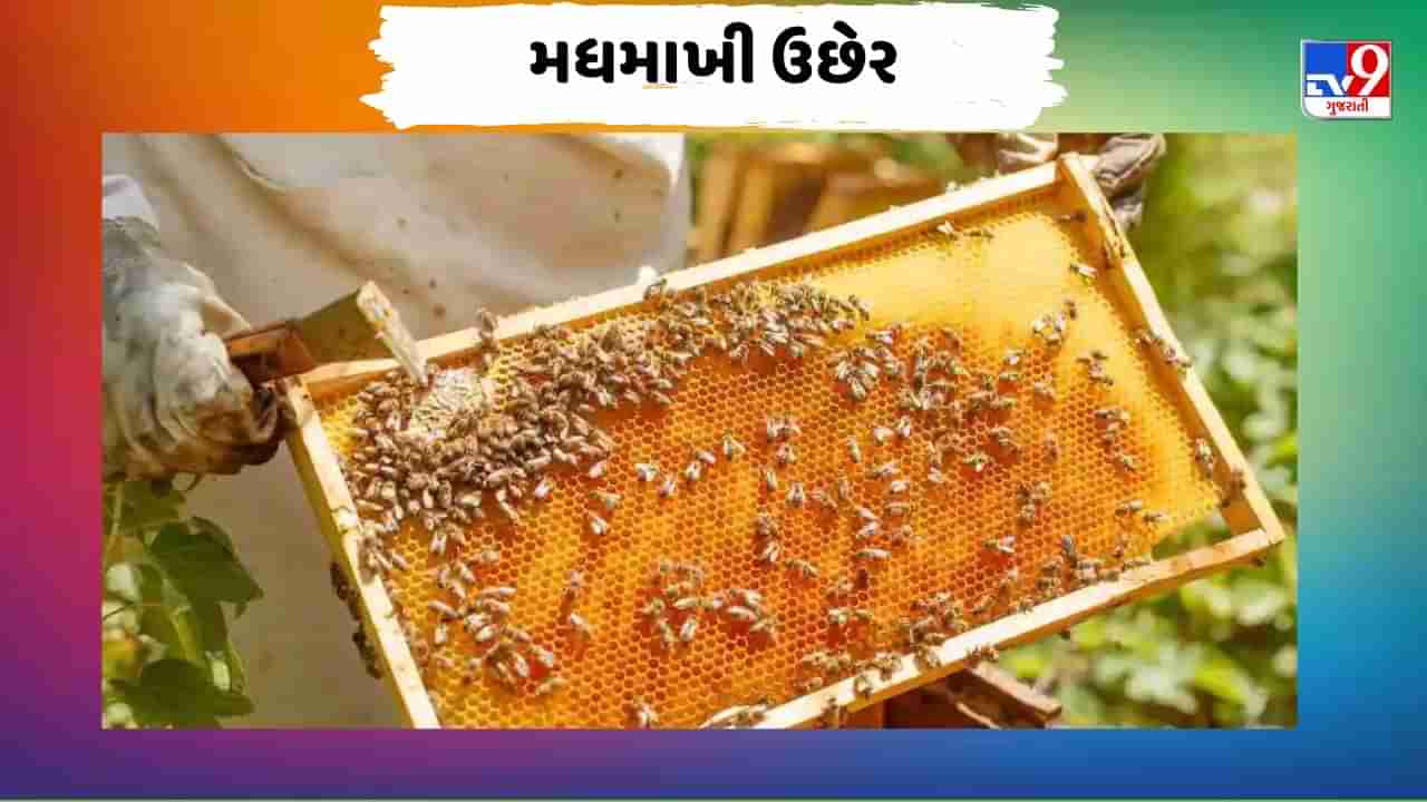 ખેડૂતો ઓછા રોકાણથી શરૂ કરી શકે છે આ વ્યવસાય, નાબાર્ડ પણ કરે છે મદદ