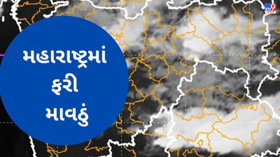 Weather Forecast: મહારાષ્ટ્રમાં ફરી કમોસમી વરસાદ, IMD એ ઘણા  જિલ્લાઓ માટે એલર્ટ જાહેર કર્યું