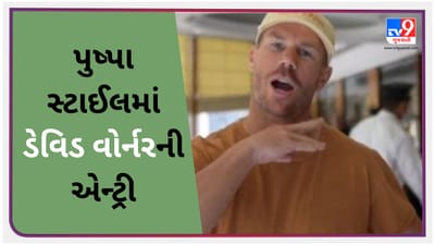 IPL 2023 : પુષ્પા સ્ટાઈલમાં ડેવિડ વોર્નરે કરી એન્ટ્રી, IPLમાં દિલ્હી કેપિટલ્સનો બનશે કેપ્ટન-જુઓ Viral video