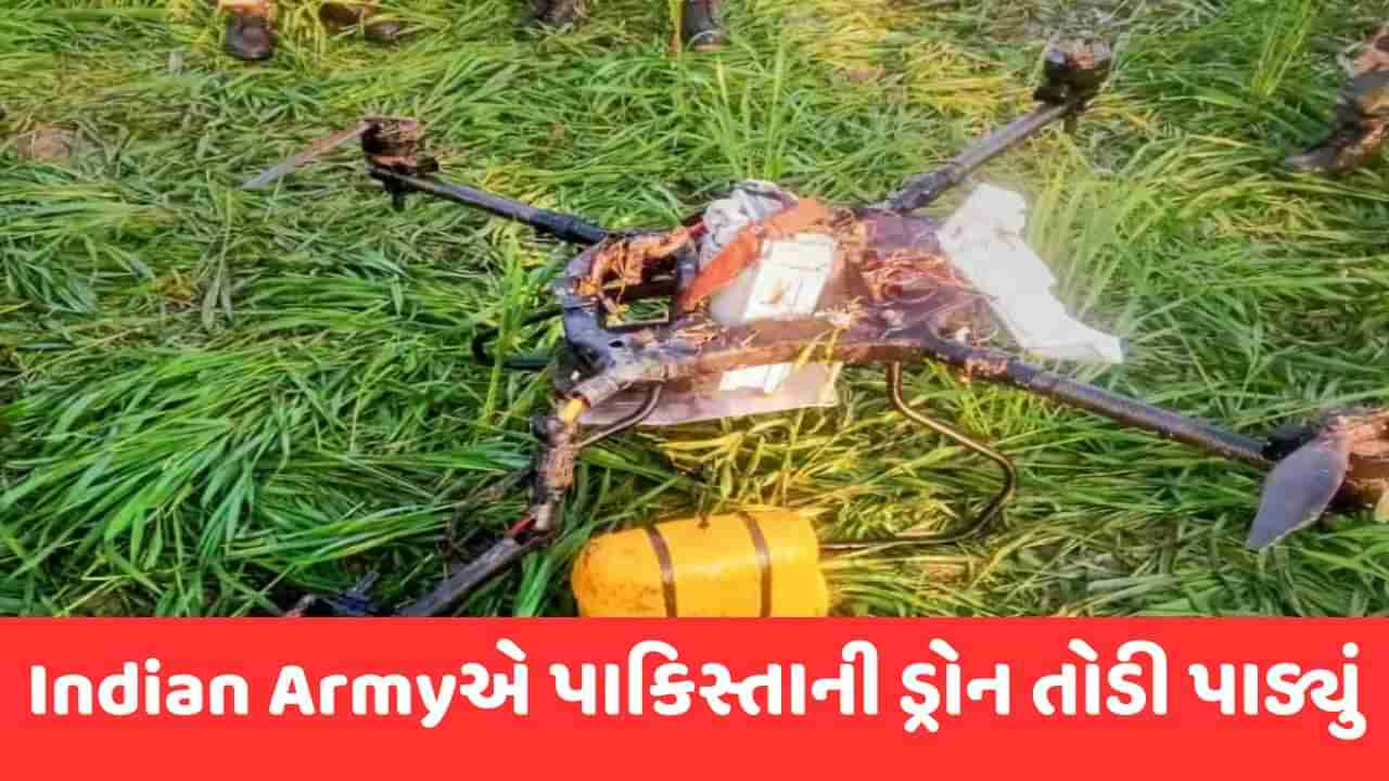 Drone Intrusion: પંજાબમાં ભારત-પાકિસ્તાન બોર્ડર પર ફરી ડ્રોનથી ઘૂસણખોરીનો પ્રયાસ, BSFએ ડ્રોનને કર્યું જમીનદોસ્ત
