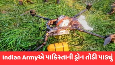 Drone Intrusion: પંજાબમાં ભારત-પાકિસ્તાન બોર્ડર પર ફરી ડ્રોનથી ઘૂસણખોરીનો પ્રયાસ, BSFએ ડ્રોનને કર્યું જમીનદોસ્ત