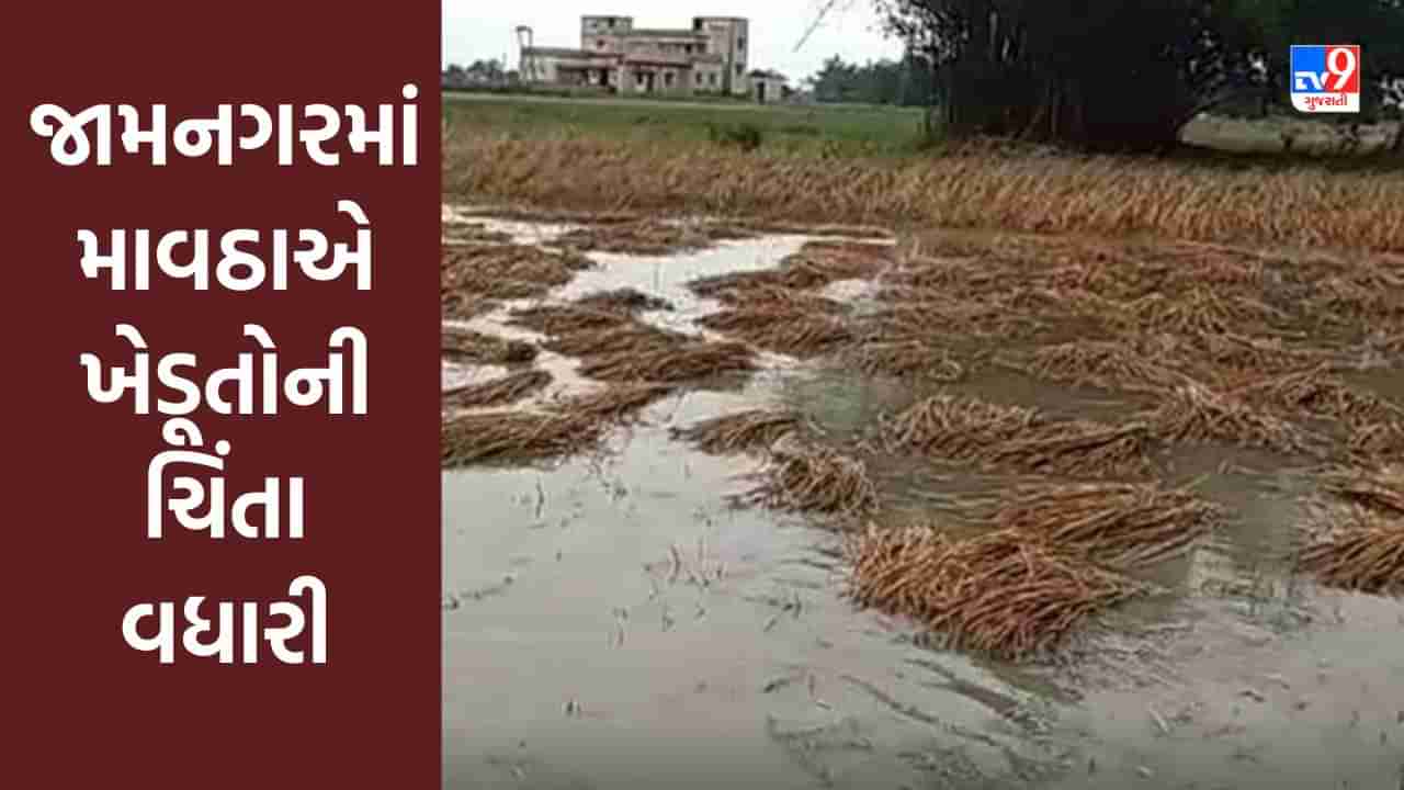Gujarati Video : જામનગરમાં માવઠાએ ખેડૂતોની ચિંતા વધારી, ઘઉંના ઉત્પાદન અને ગુણવતા પર અસર