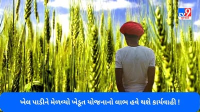 Crop Insurance Policy: આ રાજ્યમાં ખેડૂતોએ છેતરપિંડી કરીને પાક વીમાનો લાભ લીધો, હવે કાર્યવાહી કરવામાં આવશે