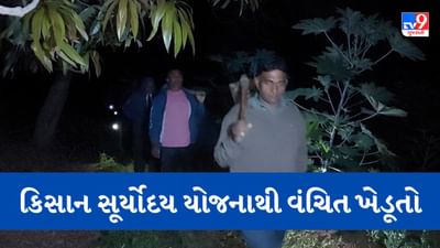Gujarati video : પંચમહાલમાં ખેડૂતોને રાત્રે જંગલી પ્રાણીઓના ભય વચ્ચે કરવું પડે છે કામ, વીજળીના અભાવે ત્રસ્ત છે ખેડૂતો, જુઓ Video