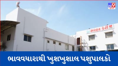Gujarati video: કચ્છ પશુપાલકો માટે Good News, સરહદ ડેરીએ કર્યો દૂધના ભાવમાં પ્રતિકિલો ફેટ રૂ. 20નો વધારો