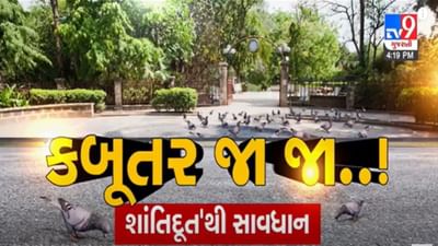 Health : કબૂતરના ચરક અને પીંછાને કારણે થઈ શકે છે ગંભીર બિમારી, ડરવાની નહિં સાવધાની રાખવાની જરૂર