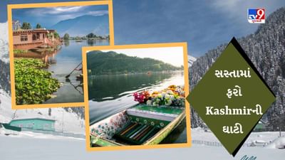 IRCTC Tour Package: ઉનાળાની કાળઝાળ ગરમીમાં ફરો કાશ્મીરની વાદીઓ, પેકેજમાં રહેવા-જમવાની સુવિધા મળશે