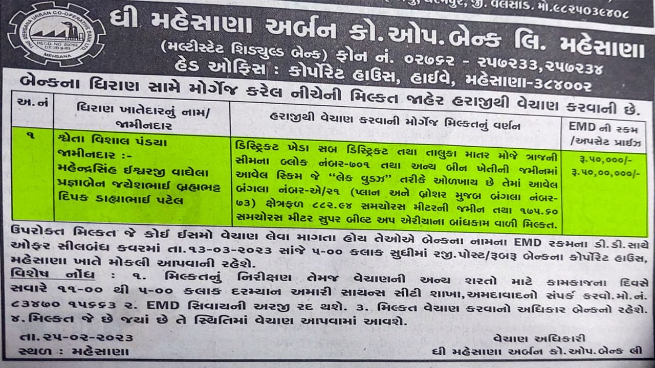 Kheda Bunglow Auction Paper Cutting