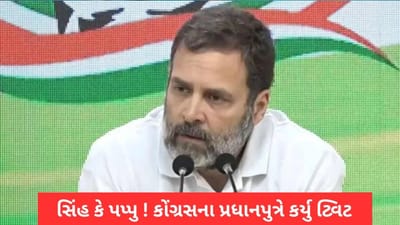 'ક્યાં છે સિંહ ? સિંહ સિંહ બોલીને તમે પપ્પુ બતાવી રહ્યા છો' Rahul Gandhi વિશે ગેહલોત સરકારના પ્રધાનના દીકરાએ કર્યું ટ્વિટ