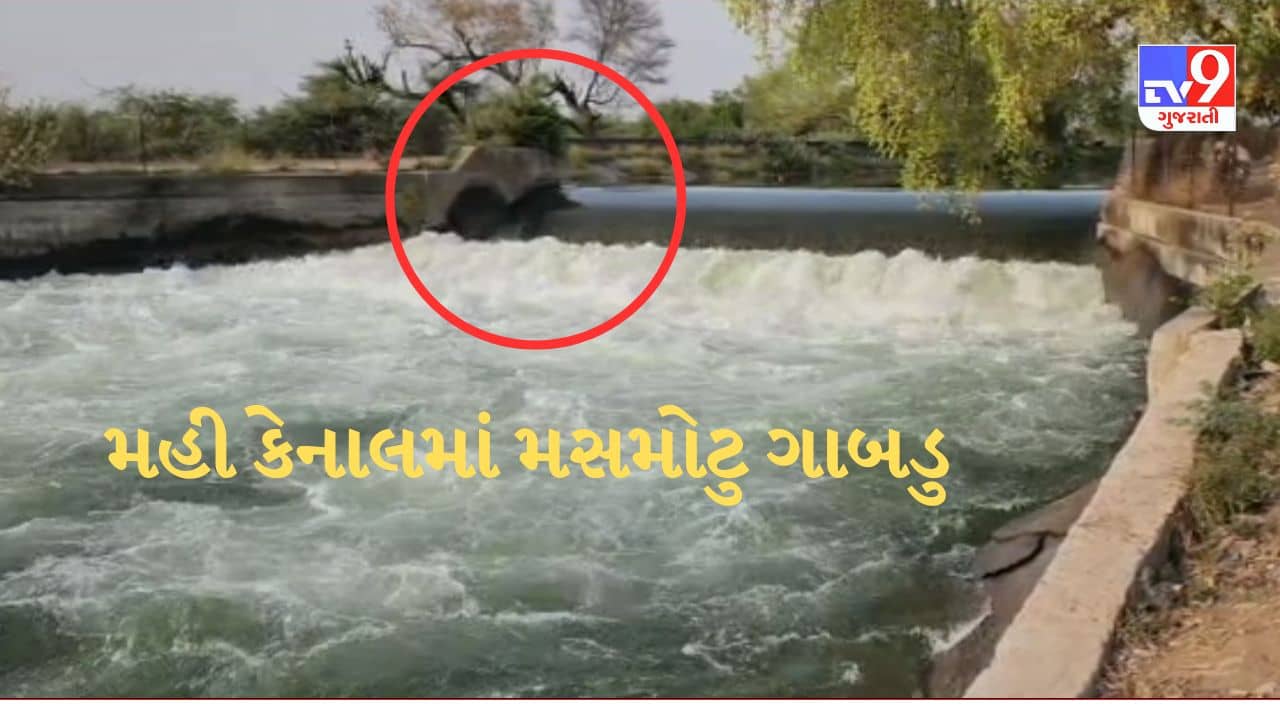 Gujarati Video : ખેડાની મહી કેનાલમાં પડ્યુ મસમોટુ ગાબડુ, સિંચાઈ વિભાગના અધિકારીઓની ઘોર બેદરકારીનો આક્ષેપ