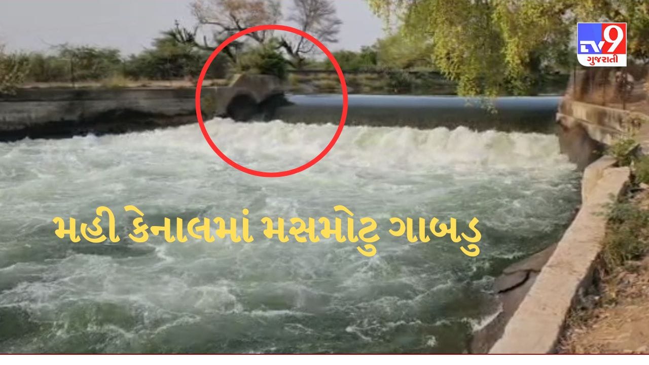 Gujarati Video : ખેડાની મહી કેનાલમાં પડ્યુ મસમોટુ ગાબડુ, સિંચાઈ વિભાગના અધિકારીઓની ઘોર બેદરકારીનો આક્ષેપ Gujarati Video : ખેડાની મહી કેનાલમાં પડ્યુ મસમોટુ ગાબડુ, સિંચાઈ વિભાગના અધિકારીઓની ઘોર બેદરકારીનો આક્ષેપ