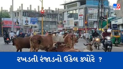 Gujarat Video : વડોદરાના પાણીગેટ વિસ્તારમાં રખડતા ઢોરની અડફેટે વૃદ્ધનું મોત