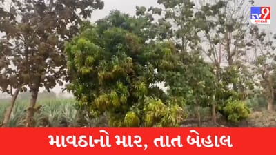 Gujarati Video : દક્ષિણ ગુજરાતમાં માવઠાથી કેરીના પાકને વ્યાપક નુકસાન, ભારે વરસાદના લીધે ખરી ગયા મોર