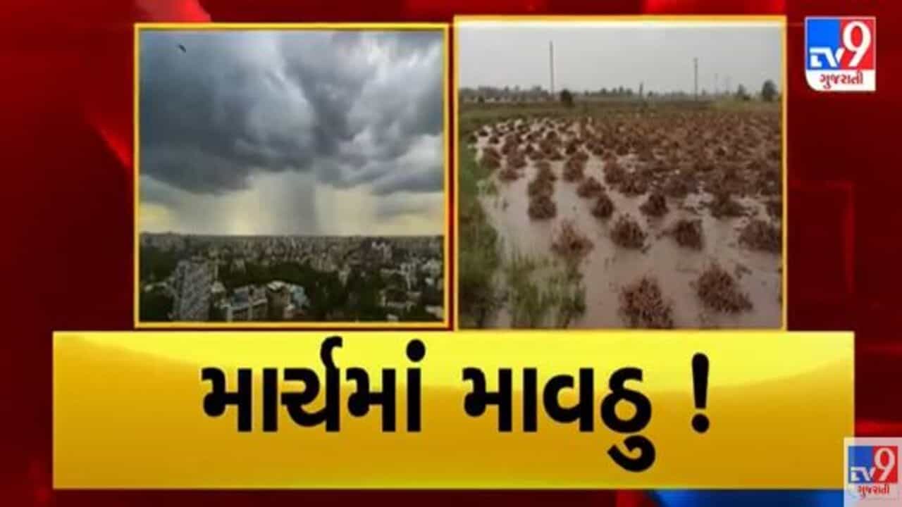 Gujarati video: જૂનાગઢના વંથલીમાં કમોસમી વરસાદ, કેસર કેરીના પાક અંગે ખેડૂતો ચિંતામાં