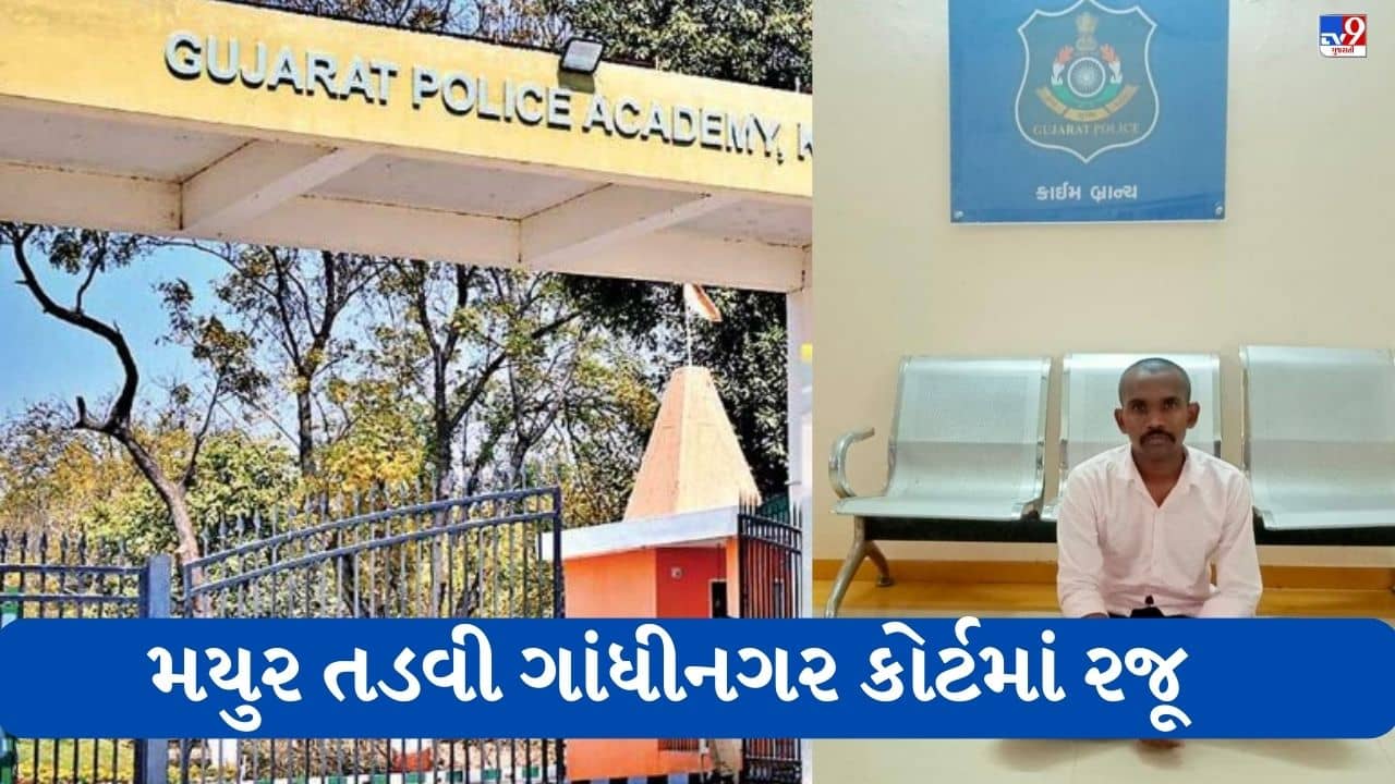 Gujarati Video: નકલી PSI મયુર તડવીને ગાંધીનગર કોર્ટમાં રજૂ કરાયો, 8 દિવસના રિમાન્ડ થયા મંજૂર, જુઓ VIDEOમાં કેદ મયુર તડવી