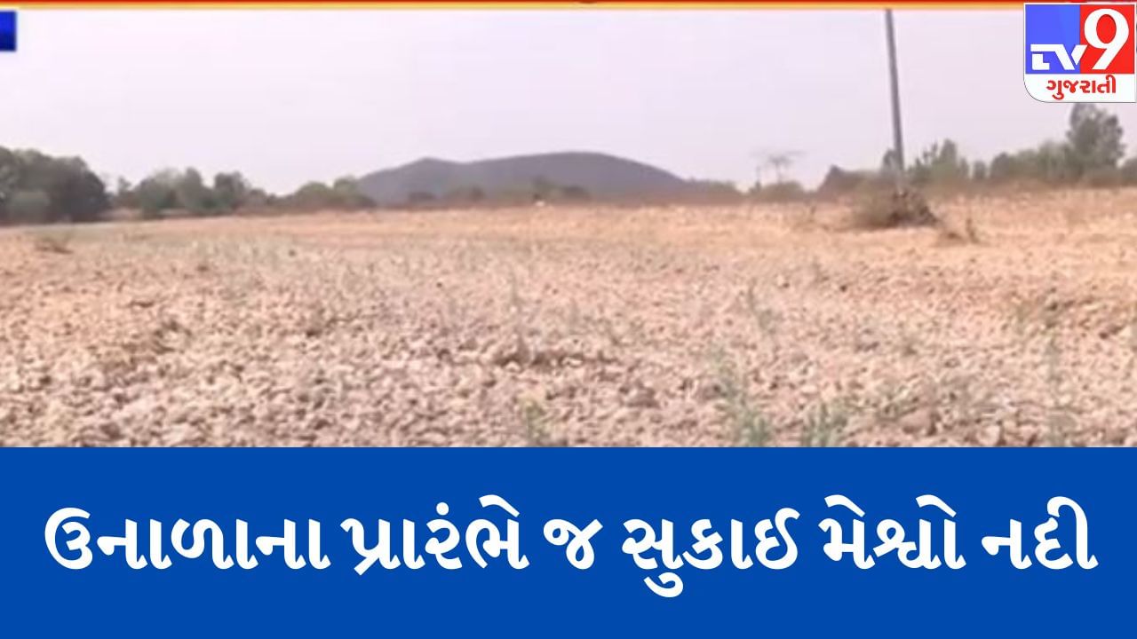 Gujarati Video : અરવલ્લીના 15થી વધુ ગામોમાં સર્જાઈ પાણીની તંગી, સિંચાઈ માટે પાણી ન મળતા ખેડૂતોની સ્થિતિ કફોડી