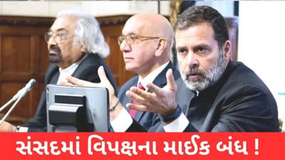 રાહુલ ગાંધીએ બ્રિટિશ સાંસદોને કહ્યું- અમારી સંસદમાં વિપક્ષના માઈક બંધ કરી દેવાયા છે