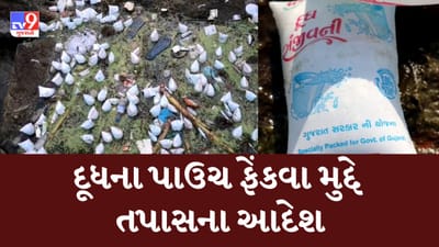 Gujarati Video : સંજીવની દૂધના પાઉચ નદીમાં ફેંકી દેવા મુદ્દે તપાસના આદેશ અપાયા, તાત્કાલિક રિપોર્ટ રજૂ કરવા અધિકારીઓને સૂચન