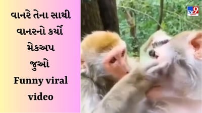 Funny Viral video : વાનરે તેના સાથી વાનરનો કર્યો મેકએપ, વીડિયો જોયા પછી લોકોએ પૂછ્યું - શું તે બ્યુટિશિયન છે?