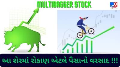 Multibagger Stock : આ શેરને ઓળખવાની આવડત કેળવી લેશો તો તમને કરોડપતિ બનતા કોઈ રોકી શકશે નહીં