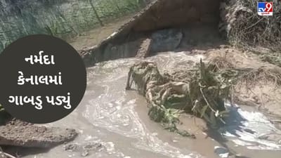 Gujarati Video : નર્મદા કેનાલમાં ગાબડુ પડવાનો સિલસિલો યથાવત, ખેતરોમાં પાણી ફરી વળતા ખેડૂતોમાં રોષ