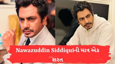 પૂર્વ પત્ની આલિયા સાથે સમાધાન કરવા તૈયાર Nawazuddin Siddique, બસ આ શરત સ્વીકારવી પડશે