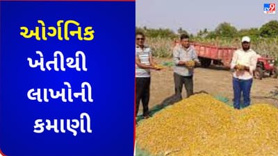 Vadodara : ઓર્ગેનિક ખેતીની બોલબોલા ! ખેડૂતે ઈન્ટરનેટની મદદથી હળદળની ખેતી દ્વારા લાખોની કરી કમાણી