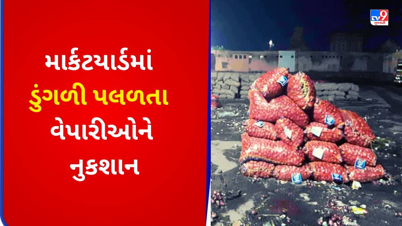 ભાવનગર માર્કટ યાર્ડમાં વરસાદને કારણે ડુંગળી પલળી જતા હરાજી બંધ કરાઈ, જુઓ VIDEO